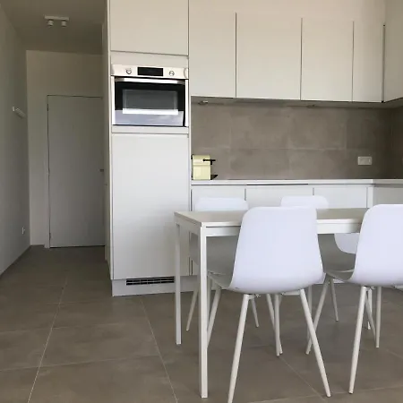 Penthouse Seafront 公寓 奥斯滕德